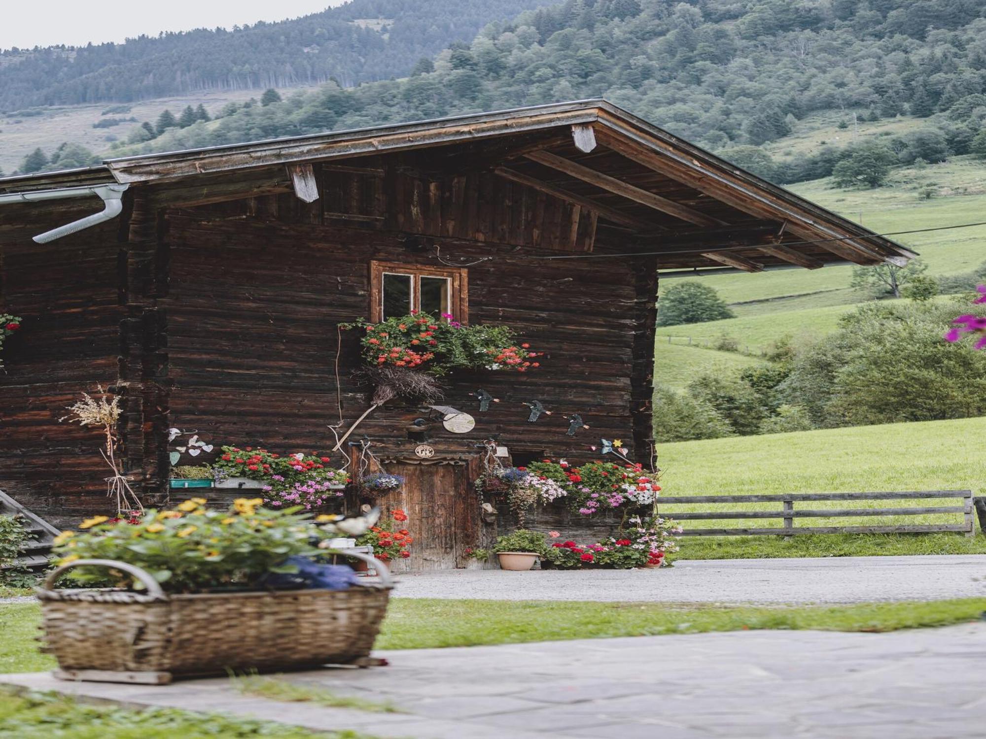 Holiday Home Fusch An Der Glocknerstra E Fusch an der Grossglocknerstrasse Exterior foto